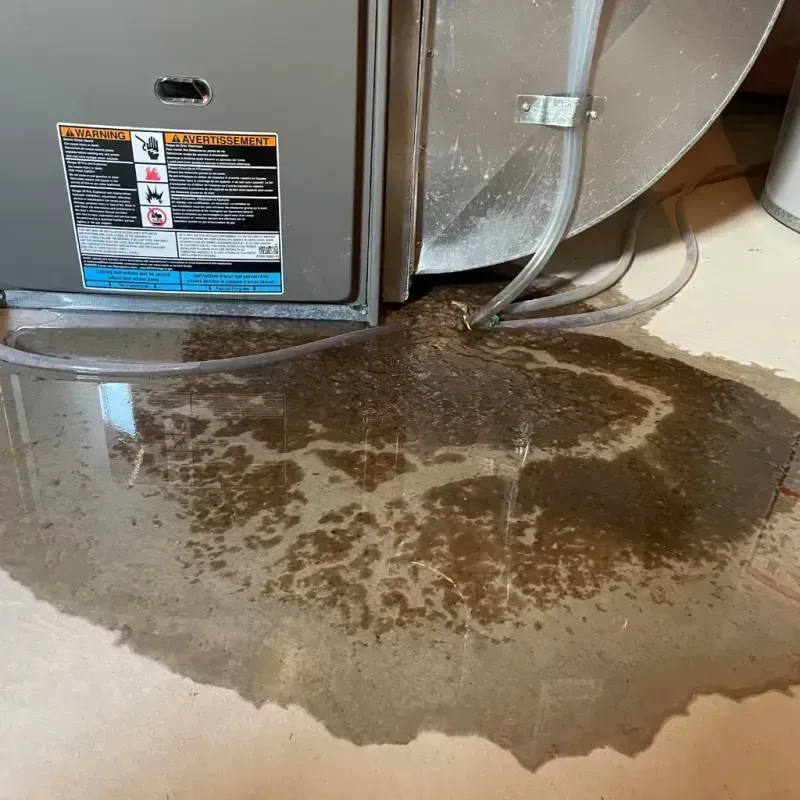 Appliance Leak Cleanup in East Garden City, NY